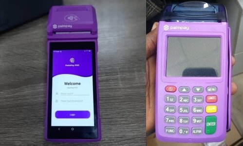 Palmpay Pos Machine, Daily Target, Price, And How to apply