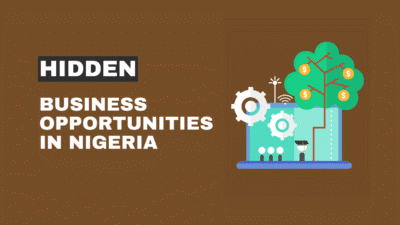 Business-Opportunities-In-Nigeria